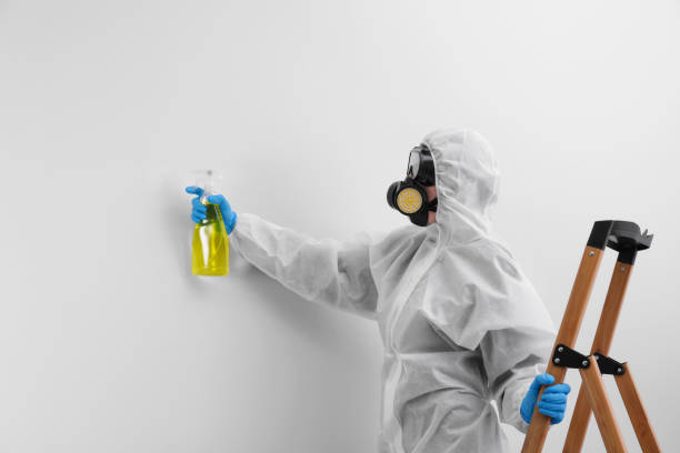 Mold Documentation for Insurance Claims in Lancaster, CA